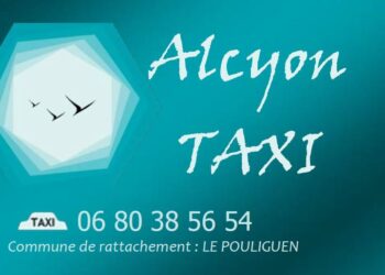 Alcyon Taxi