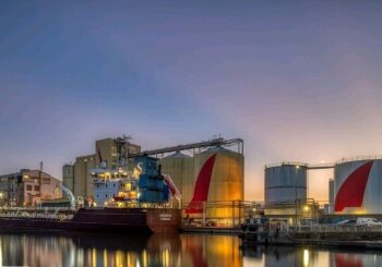 Tournesol, énergie, emplois : ce que prépare Cargill sur son site de Saint-Nazaire