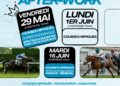 After-work à l&rsquo;Hippodrome de Nantes : paella, spectacle équestre et Coupe du Monde au programme