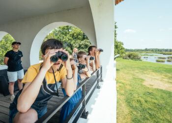 Grand-Lieu : pourquoi le mois de juin est idéal pour découvrir les secrets du lac ?