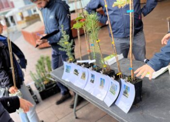 Semaine de l’arbre à La Baule : « Un arbre rafraîchit l’atmosphère bien plus qu’un parasol »