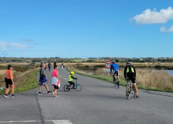 Le dimanche 18 octobre : Journée douce dans les marais salants