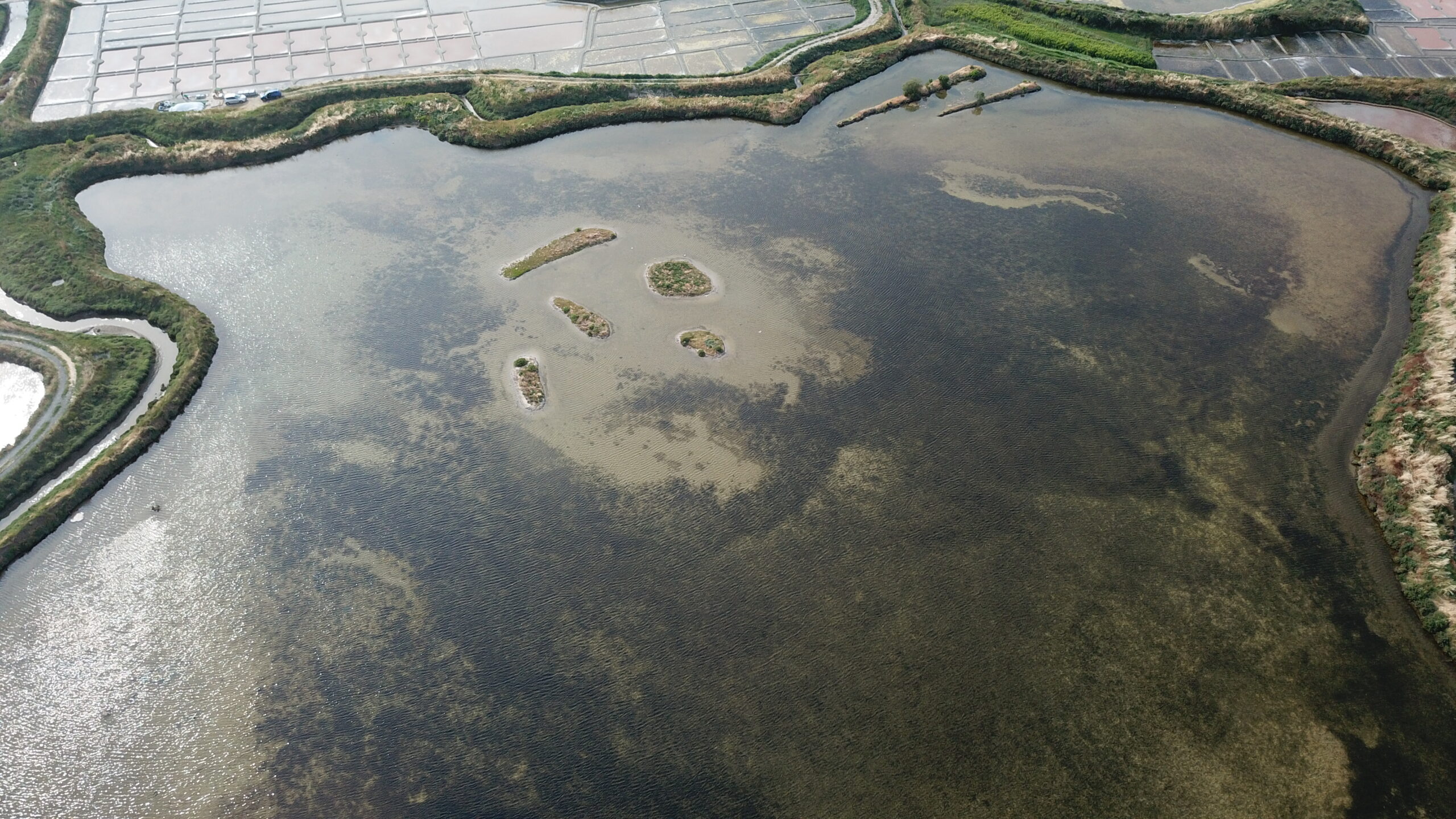 Cap Atlantique sacrée « Meilleure intercommunalité pour la biodiversité 2025 »