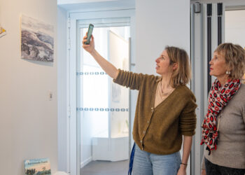 Pornichet : la médiathèque se transforme en forêt enchantée avec « Arbres-Mondes »